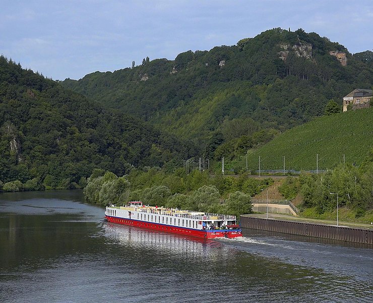 am Saar-Radweg (2)