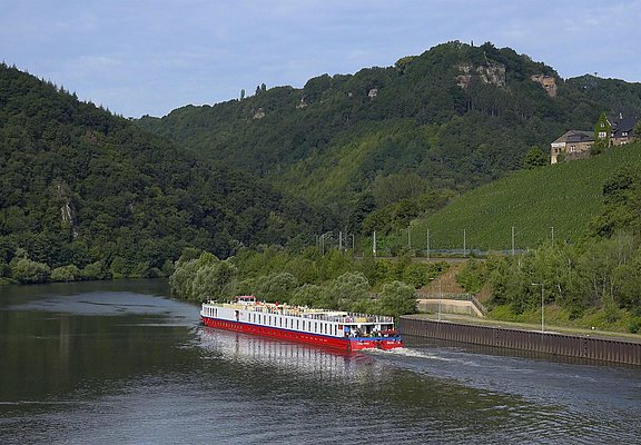 am Saar-Radweg (2)
