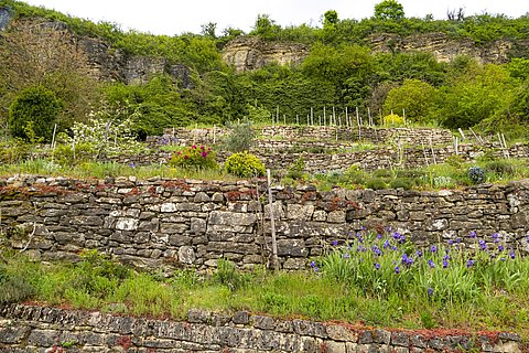 Felsengarten Nittel Felsengarten Nittel