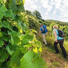 Aufstieg zur Burg Thurant