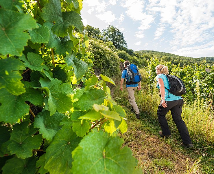 Aufstieg zur Burg Thurant