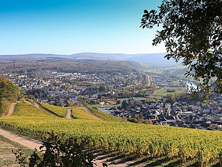 Panoramaweg
