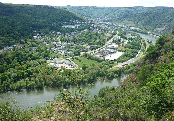 Steilhang zur Mosel am Rastplatz am Schwedenkreuz