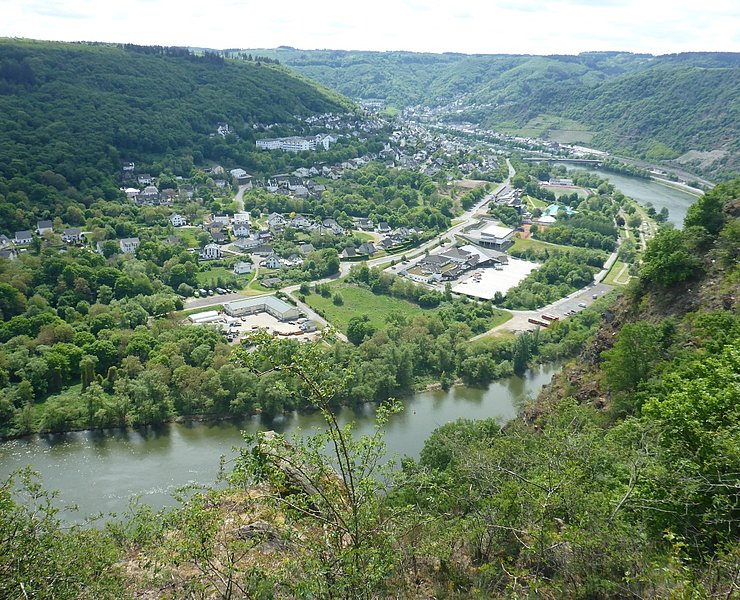Steilhang zur Mosel am Rastplatz am Schwedenkreuz