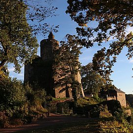 Burganlage Saarburg (7)
