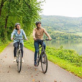 Auf dem Mosel-Radweg zwischen Mehring und Detzem