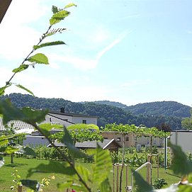 Blick von der Hollywoodschaukel