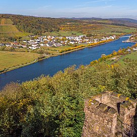 Saar-Riesling-Steig
