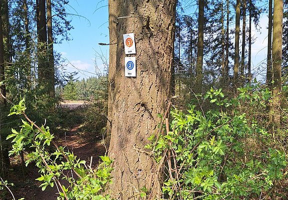 Markierung Pellinger Schanzen