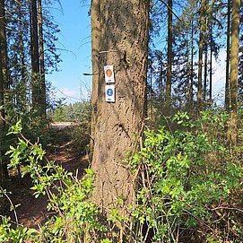 Markierung Pellinger Schanzen