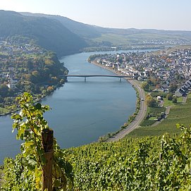 Blick auf Mehring