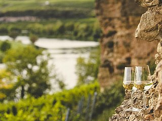 SAUERWEINS Weingut