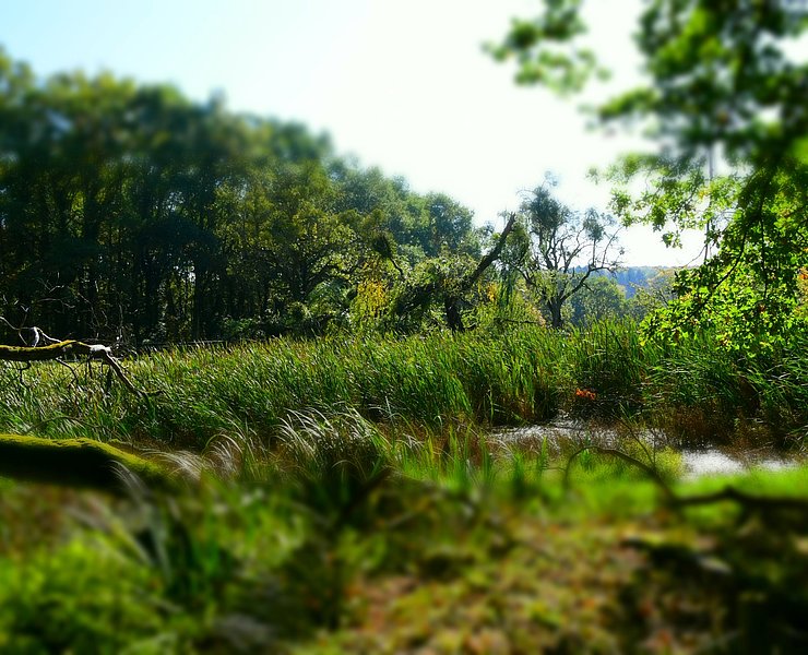 Blick auf Doline am Moselsteig