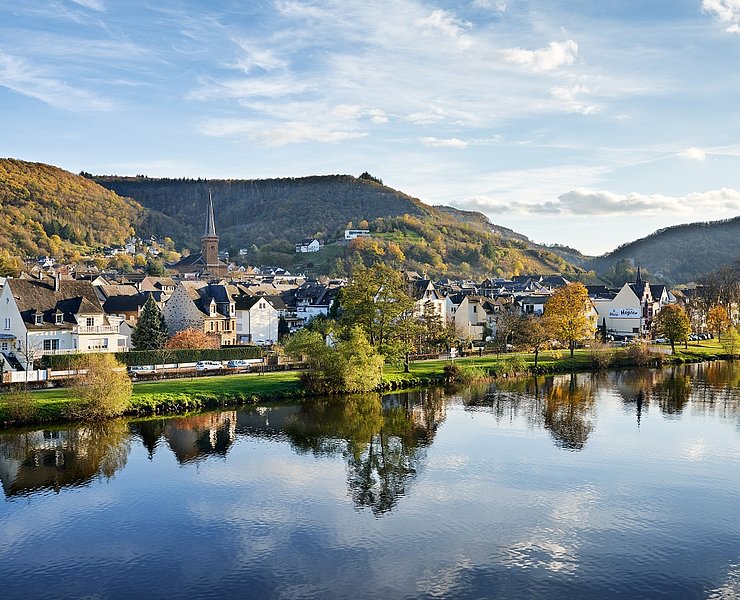 Blick auf den Ort Treis-Karden