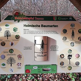 Informationspavillon Lebensraum Wald (2)