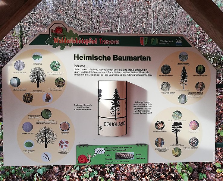 Informationspavillon Lebensraum Wald (2)