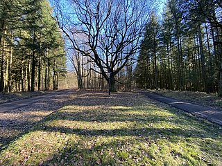 Krohkreuz (02)