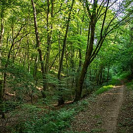 Konzer Höhenrunde