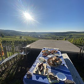 Weingut Alois Kirchen Konz-Oberemmel (04)