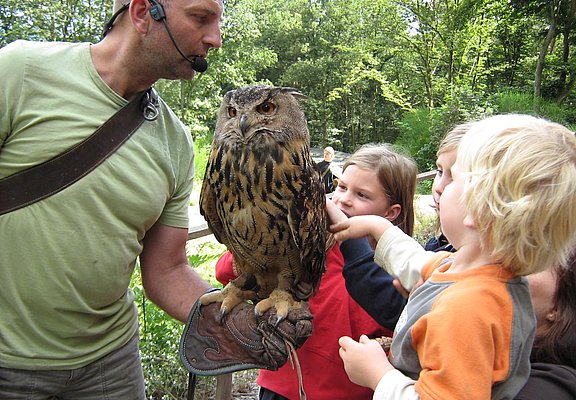 Greifvogelpark (1)