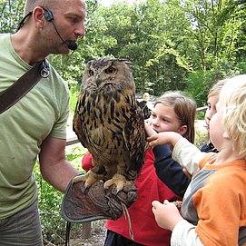Greifvogelpark (1)