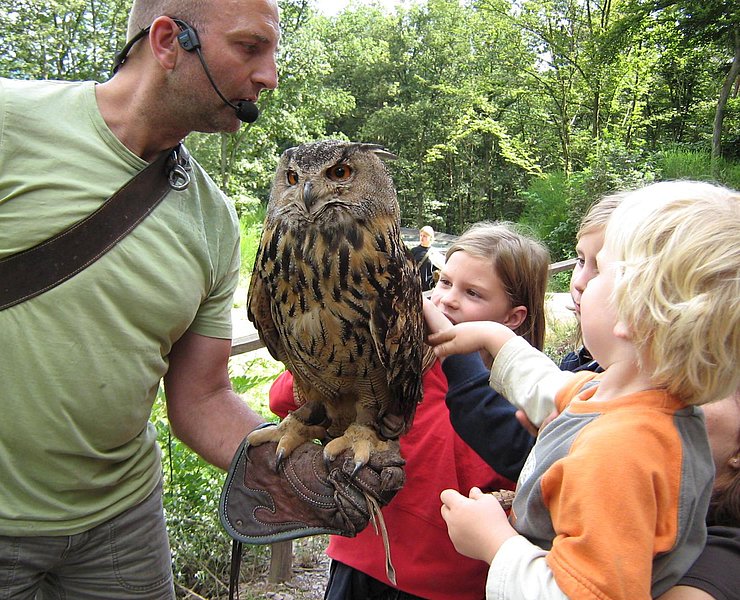 Greifvogelpark (1)
