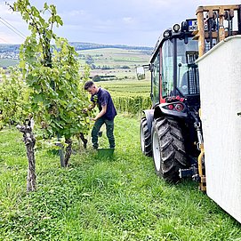 Weingut Alois Kirchen Konz-Oberemmel (03)