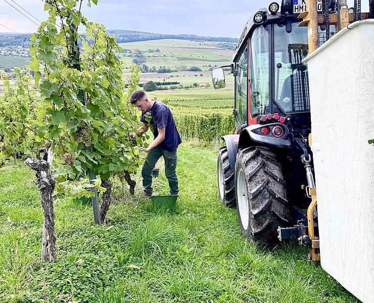 Weingut Alois Kirchen Konz-Oberemmel (03)