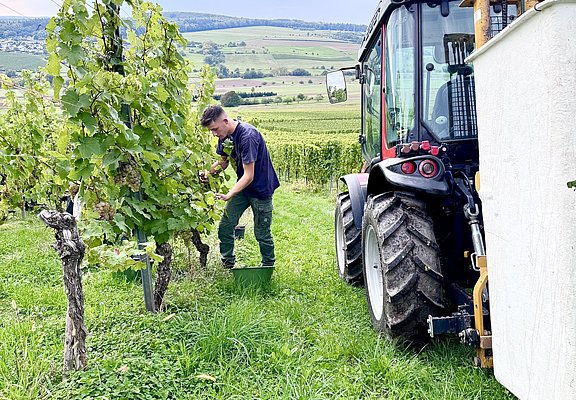 Weingut Alois Kirchen Konz-Oberemmel (03)