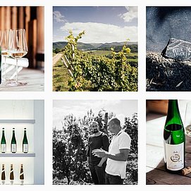 Weingut Peter Lauer Ayl (10)