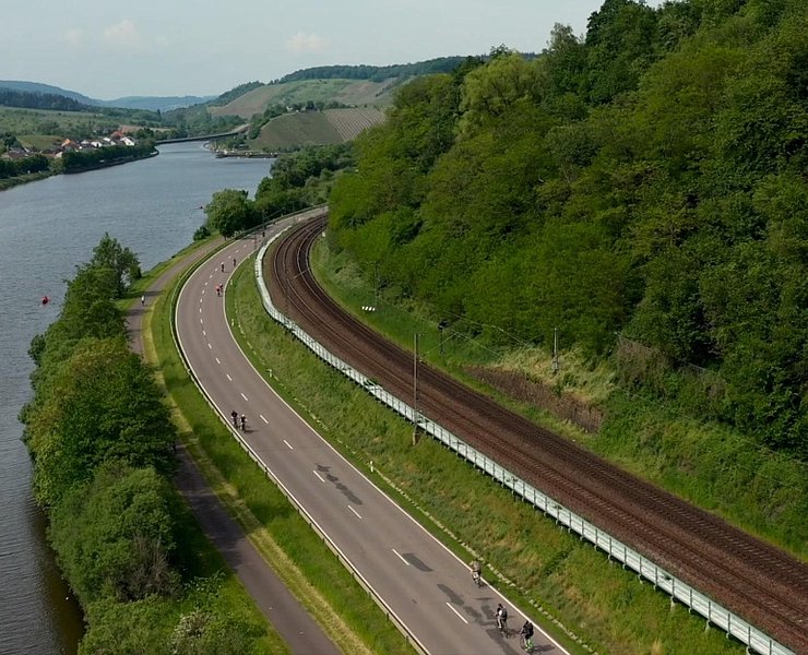 Saar Pedal (1)