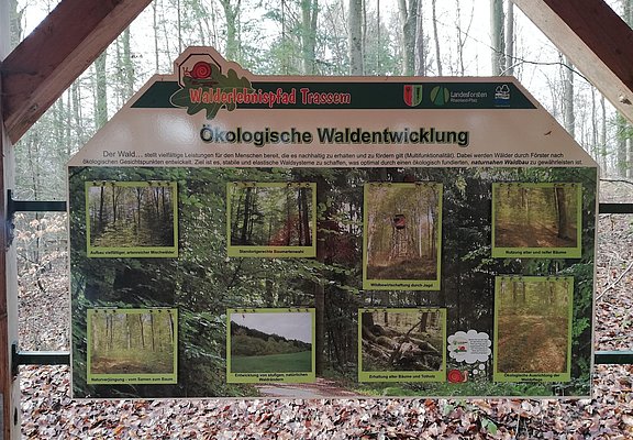 Informationspavillon Naturnahe Waldwirtschaft (2)