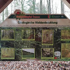 Informationspavillon Naturnahe Waldwirtschaft (2)