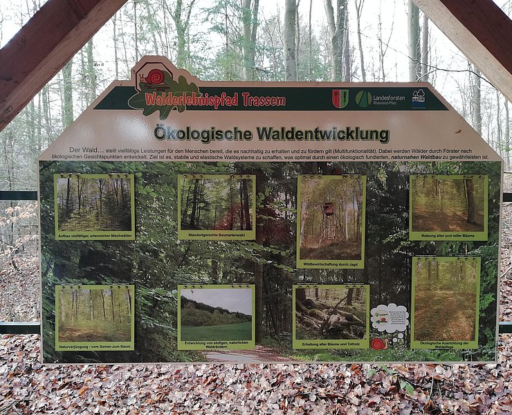 Informationspavillon Naturnahe Waldwirtschaft (2)