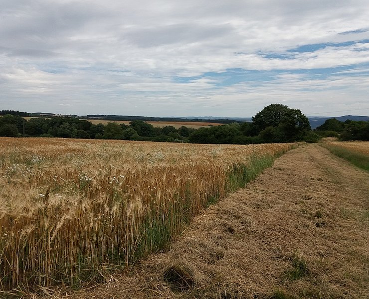 Weiter Blick auf dem Klottener Berg