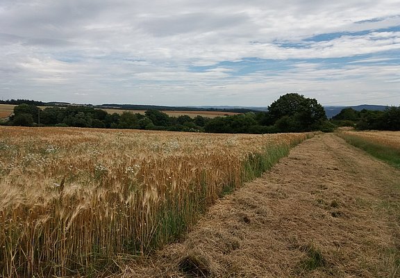 Weiter Blick auf dem Klottener Berg