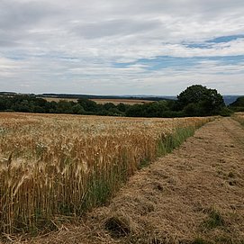 Weiter Blick auf dem Klottener Berg