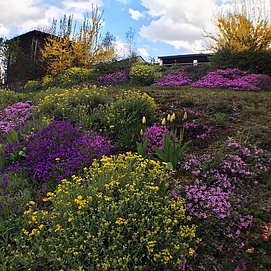 Garten im Frühling