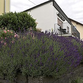 Haus Rosenberg