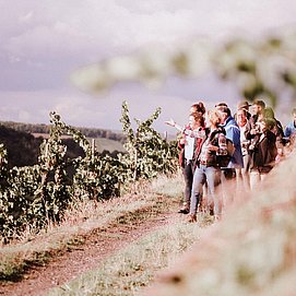 Weinwanderung Weinsein (2)