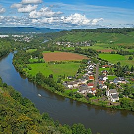 Saar bei Konz-Hamm