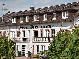 Weingut-Gästehaus Boesen Palzem (01)