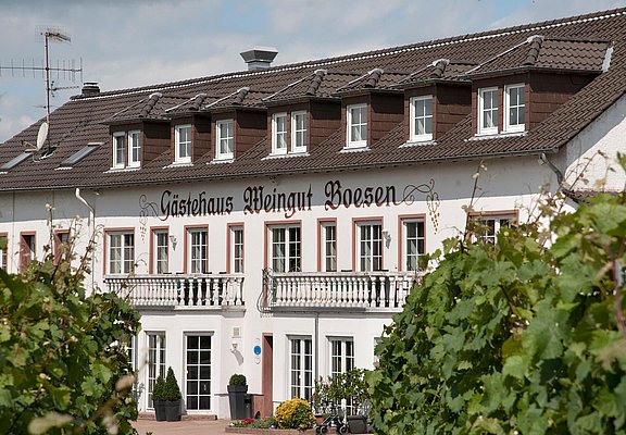 Weingut-Gästehaus Boesen Palzem (01)