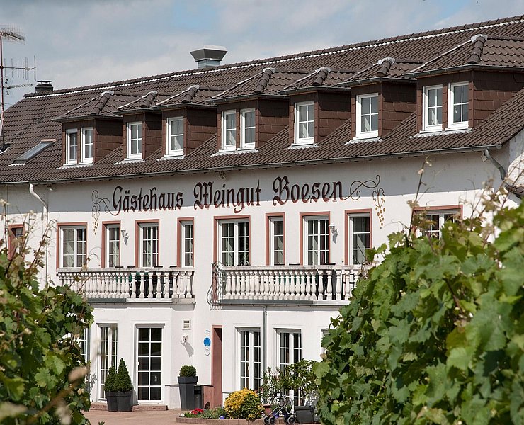 Weingut-Gästehaus Boesen Palzem (01)