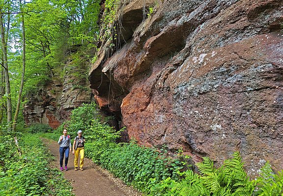 Kollesleuker Schweiz