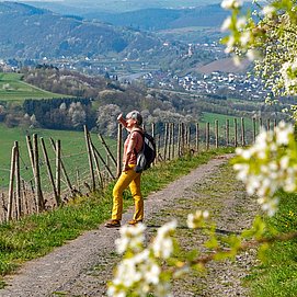 Saar-Riesling-Steig