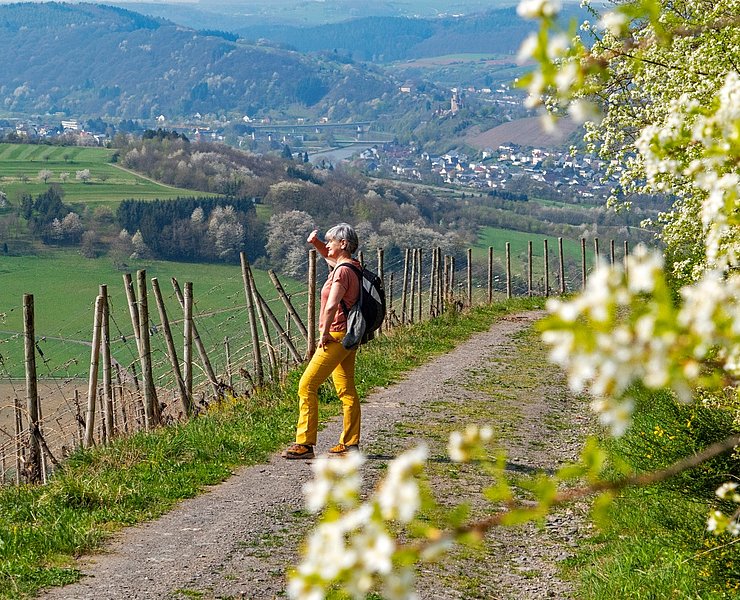 Saar-Riesling-Steig