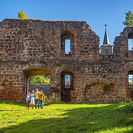 Burganlage Freudenburg (1)