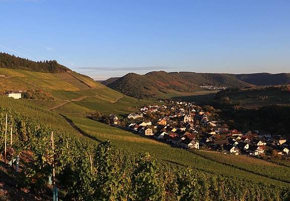 Blick auf Ockfen