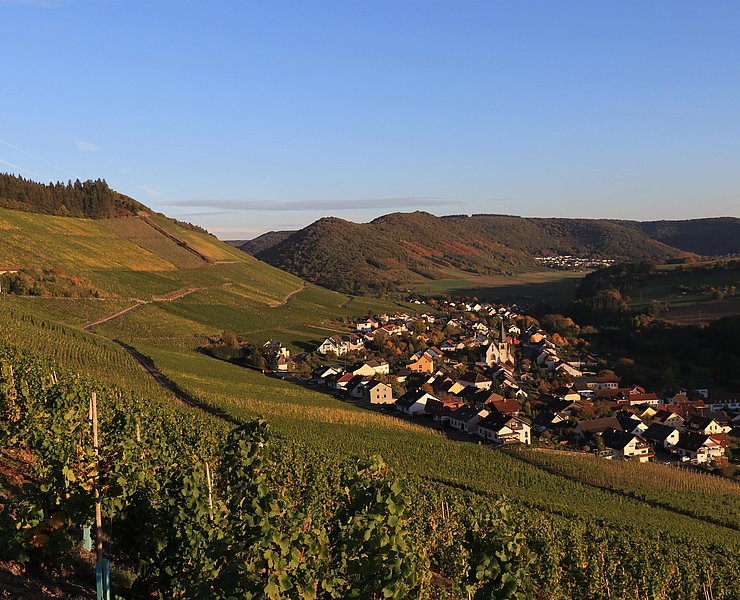 Blick auf Ockfen
